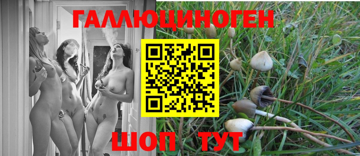 Псилоцибиновые грибы GOLDEN TEACHER Орёл
