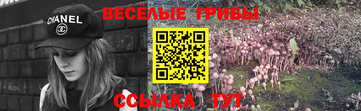 Орёл  Псилоцибиновые грибы Psilocybe  Вход с VPN  Галлюциногенные грибы Psilocybine cubensis 